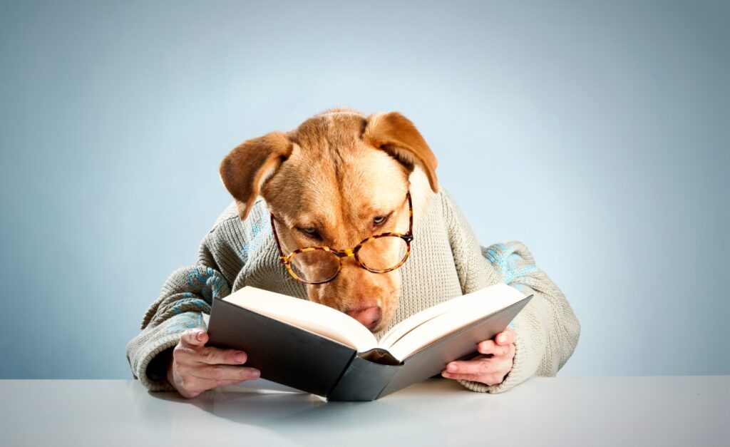 How to Make a Gimkit Game as a Student Your Ultimate Guide to Rules